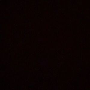 Meet your Posher, Darnell